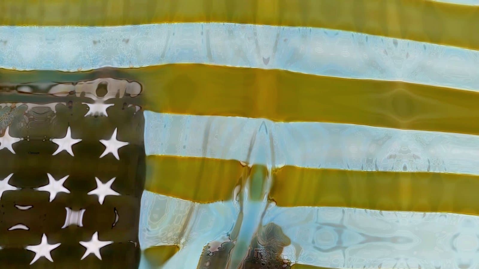 ABS Digital Art Prize — Vanishing Of The Genuine: Bone Flag