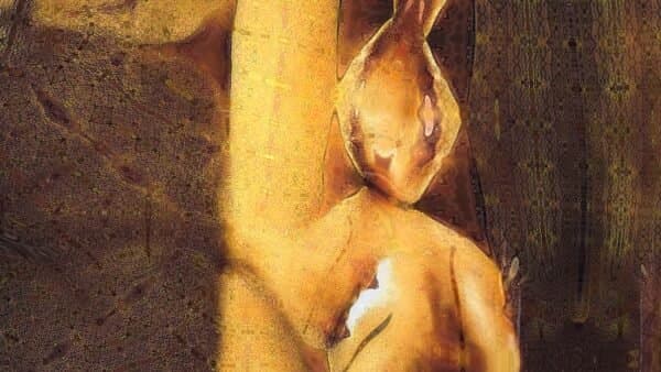 NAKED FLAMES — The Path To The Present 1954–2024