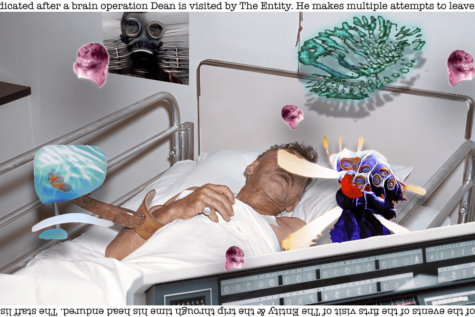 SAGE Anomaly NFT CryptoArt